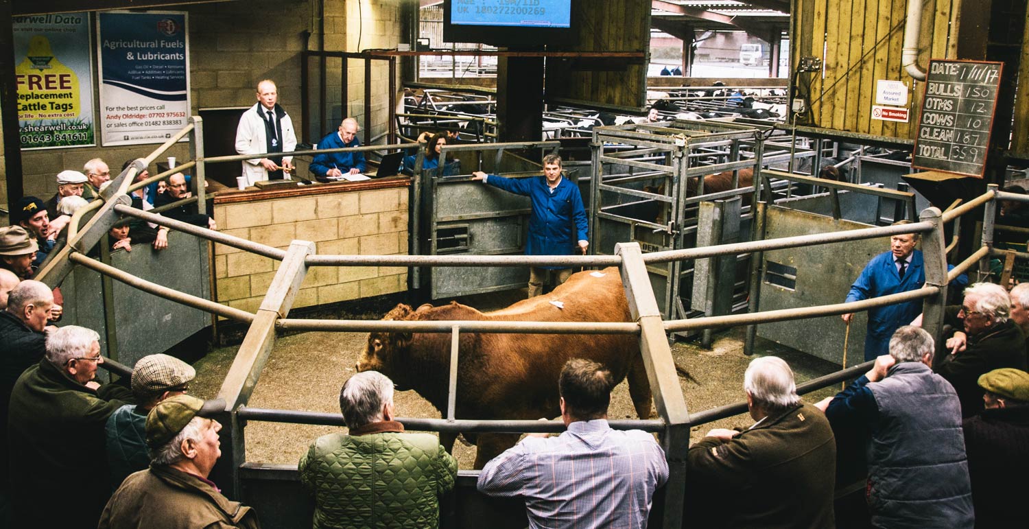 SALES DATES - Selby Livestock Auction Mart