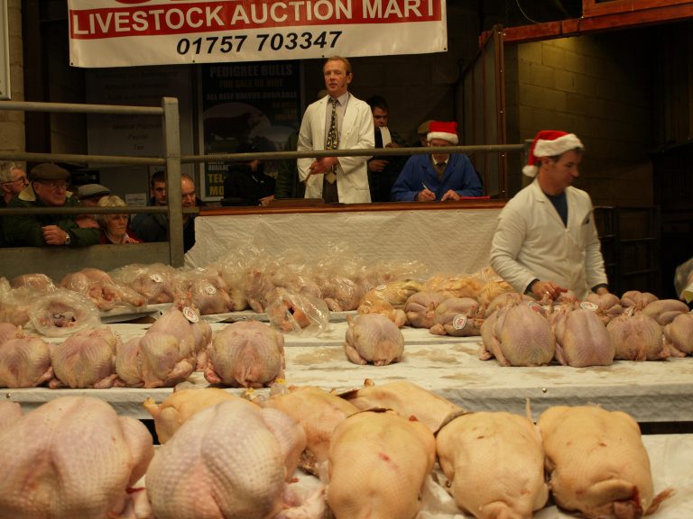 poultry sale pic (2) Selby Livestock Auction Mart