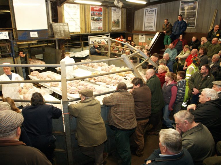 poultry sale pic (4) Selby Livestock Auction Mart